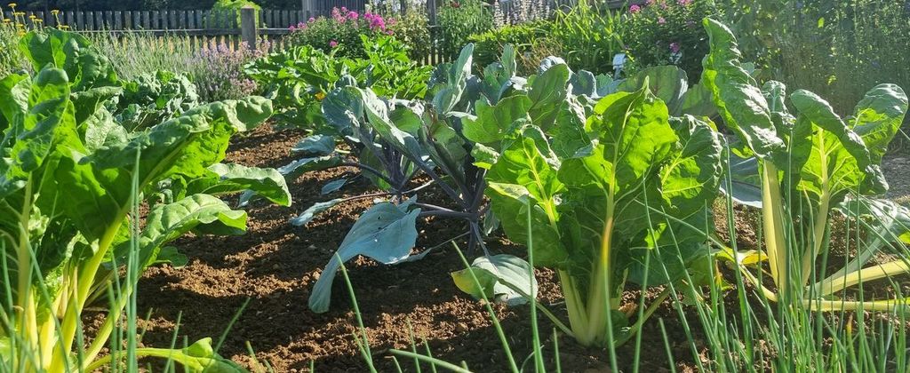 Gärtnern im Einklang mit der Natur: Dreiteiliges Seminar bio-dynamischer Gartenbau: Haus am Habsberg